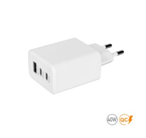 Мережевий зарядний пристрій 40W Real