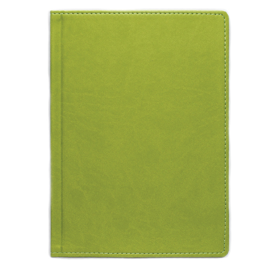 Щоденник А5 2026 ПРИНТ оливковий